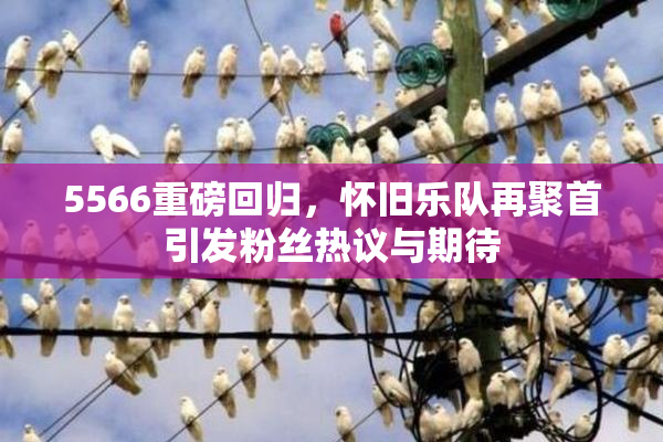 5566重磅回归，怀旧乐队再聚首引发粉丝热议与期待