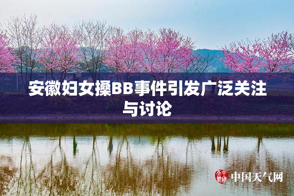 安徽妇女搡BB事件引发广泛关注与讨论
