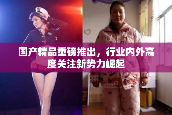 国产精品重磅推出，行业内外高度关注新势力崛起