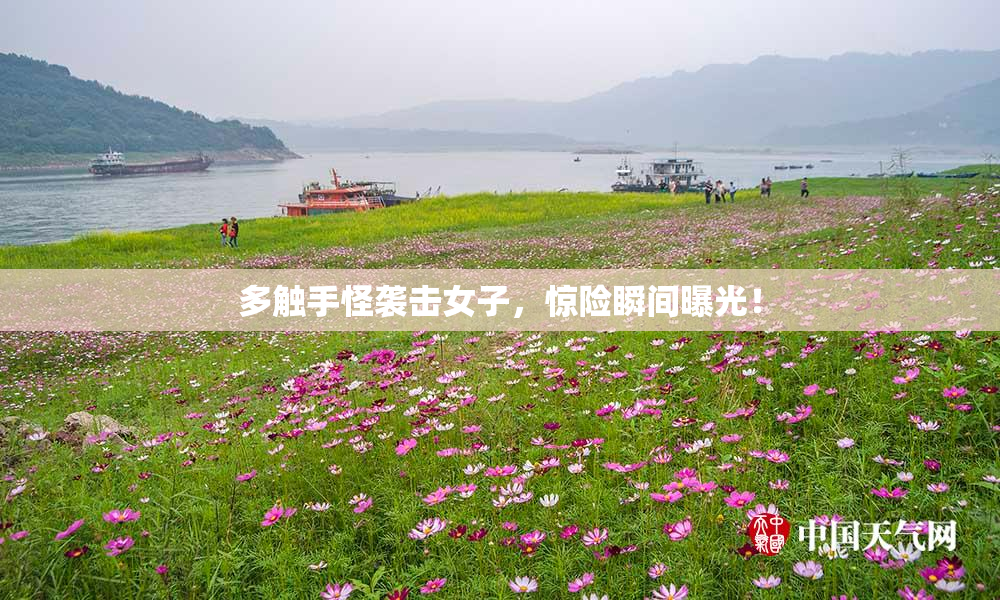 多触手怪袭击女子，惊险瞬间曝光！