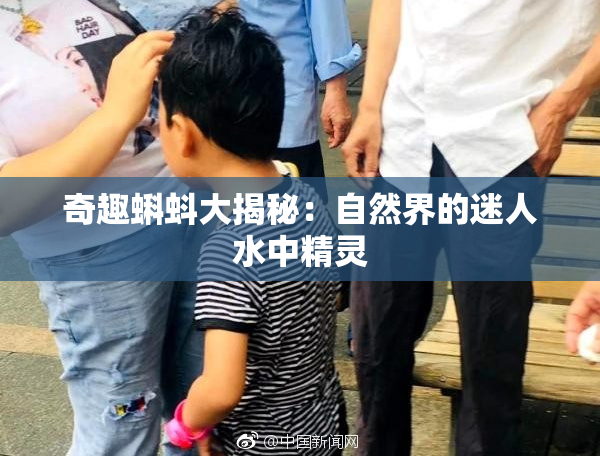 奇趣蝌蚪大揭秘：自然界的迷人水中精灵