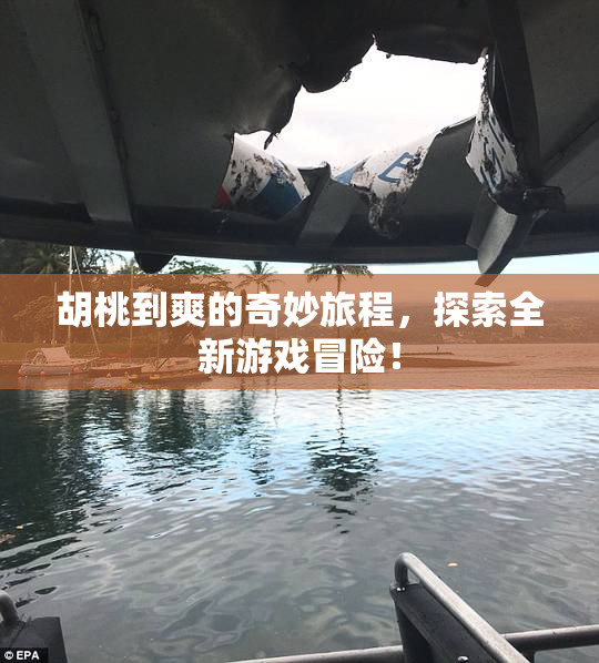 胡桃到爽的奇妙旅程，探索全新游戏冒险！