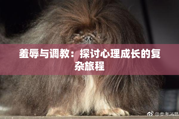 羞辱与调教：探讨心理成长的复杂旅程