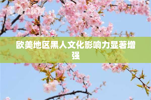欧美地区黑人文化影响力显著增强