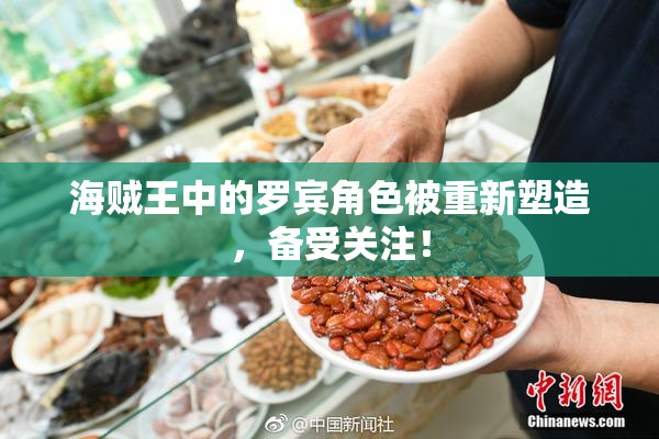 海贼王中的罗宾角色被重新塑造，备受关注！