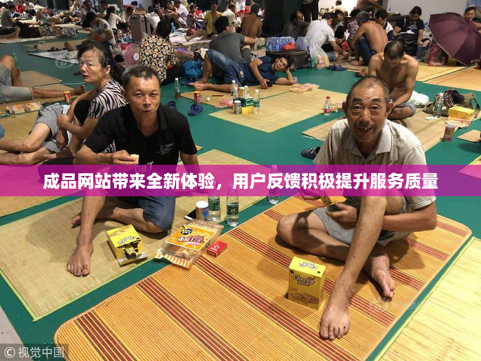 成品网站带来全新体验，用户反馈积极提升服务质量
