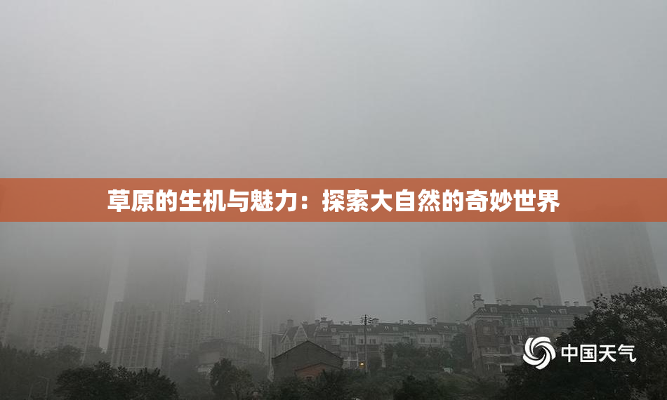 草原的生机与魅力：探索大自然的奇妙世界