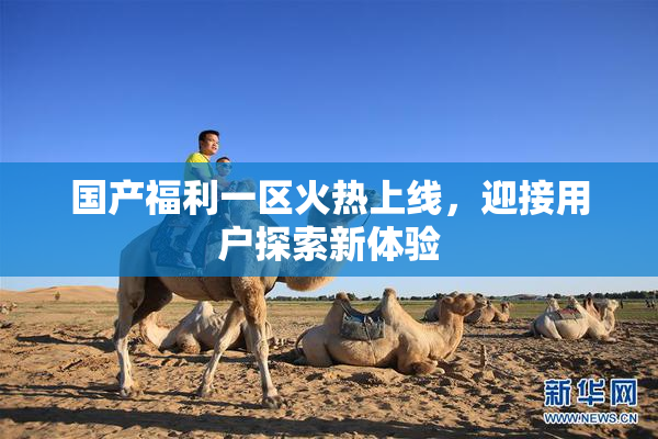 国产福利一区火热上线，迎接用户探索新体验