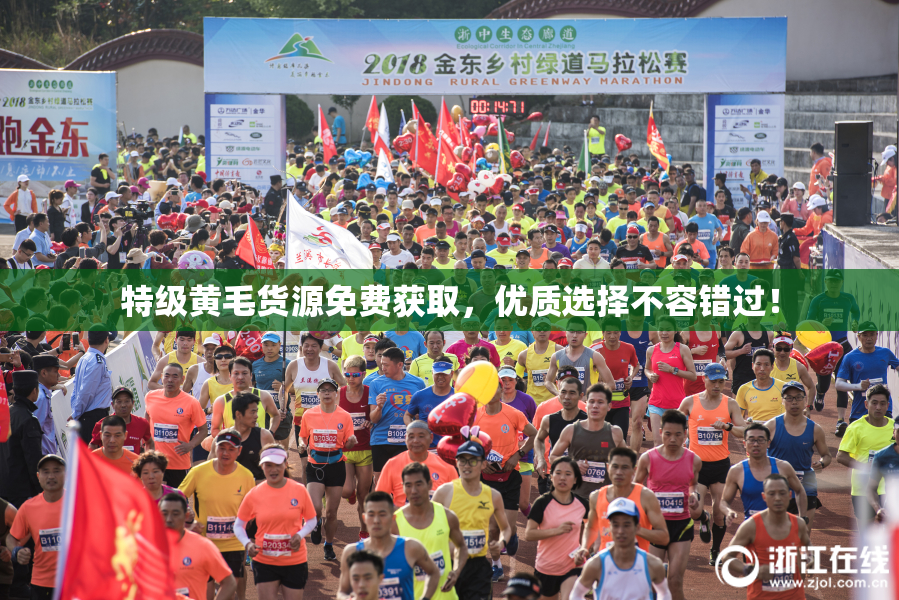 特级黄毛货源免费获取，优质选择不容错过！