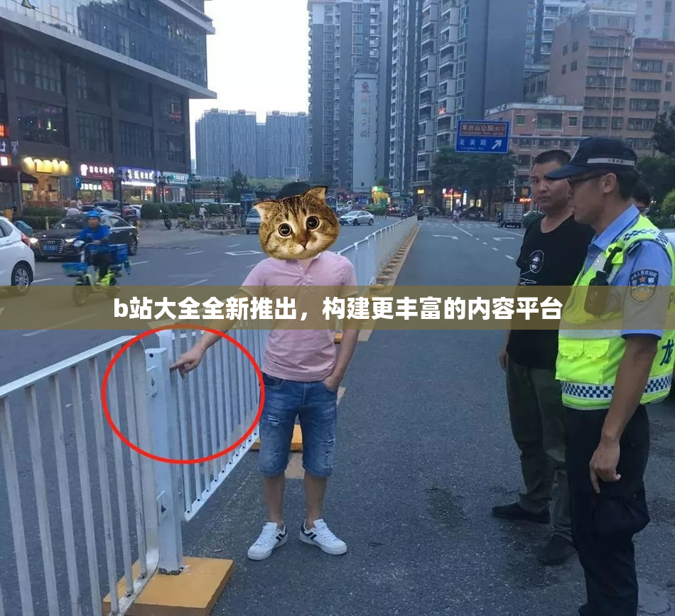 b站大全全新推出，构建更丰富的内容平台