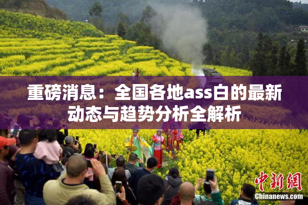 重磅消息：全国各地ass白的最新动态与趋势分析全解析