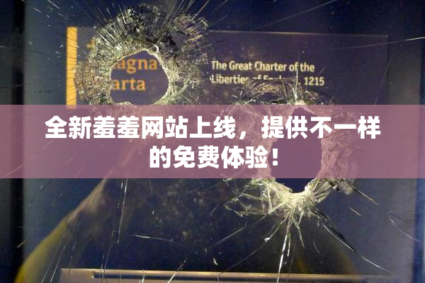 全新羞羞网站上线，提供不一样的免费体验！