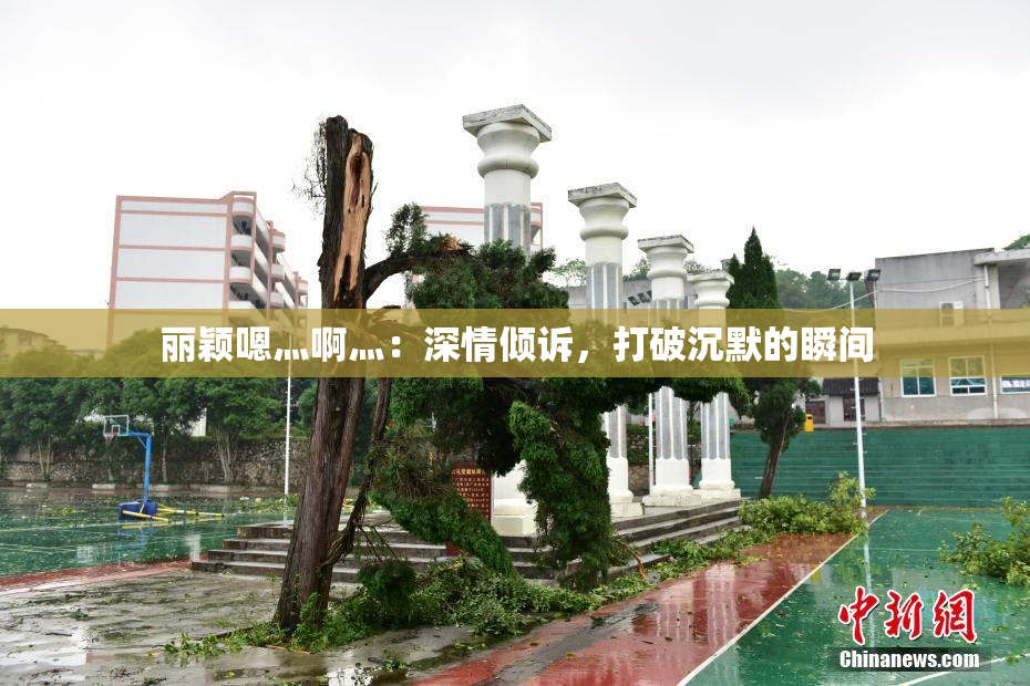 丽颖嗯灬啊灬：深情倾诉，打破沉默的瞬间