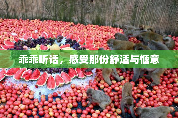 乖乖听话，感受那份舒适与惬意