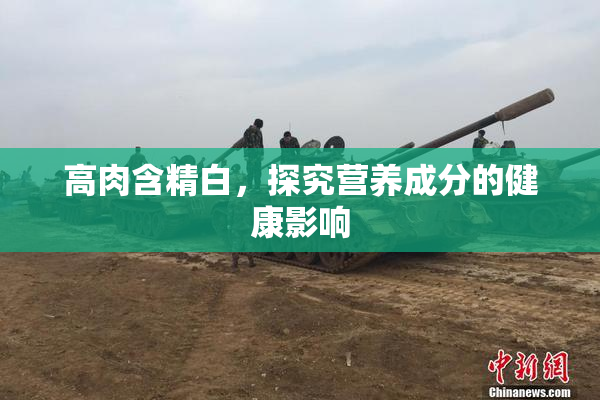 高肉含精白，探究营养成分的健康影响
