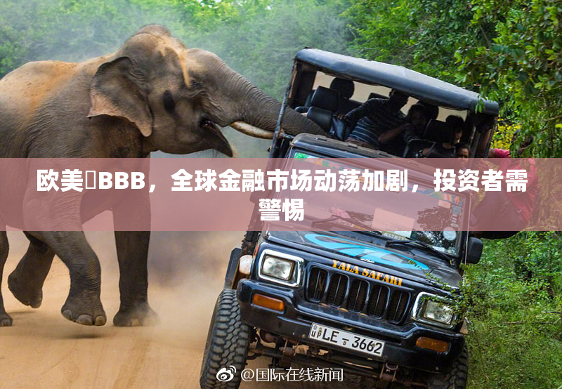欧美槡BBB，全球金融市场动荡加剧，投资者需警惕