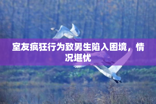 室友疯狂行为致男生陷入困境，情况堪忧