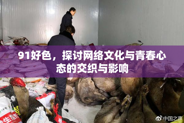 91好色，探讨网络文化与青春心态的交织与影响