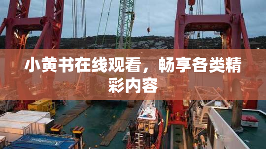 小黄书在线观看，畅享各类精彩内容