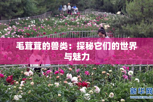 毛茸茸的兽类：探秘它们的世界与魅力