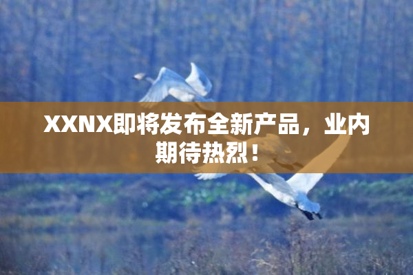 XXNX即将发布全新产品，业内期待热烈！