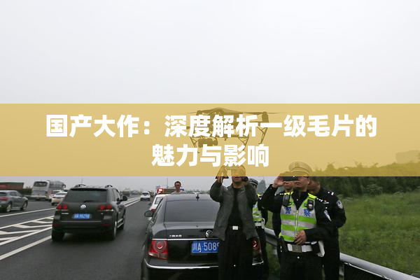 国产大作：深度解析一级毛片的魅力与影响