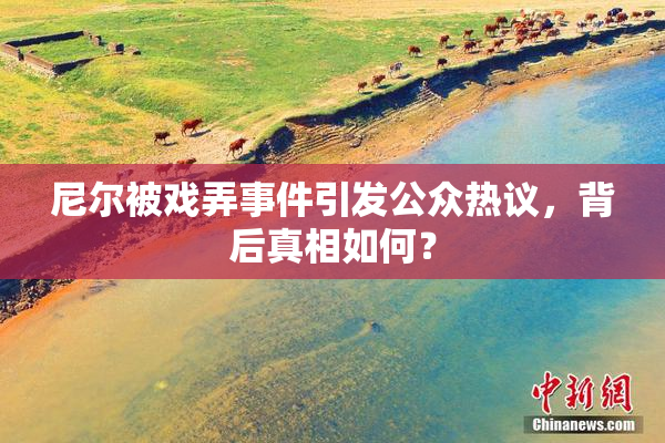 尼尔被戏弄事件引发公众热议，背后真相如何？