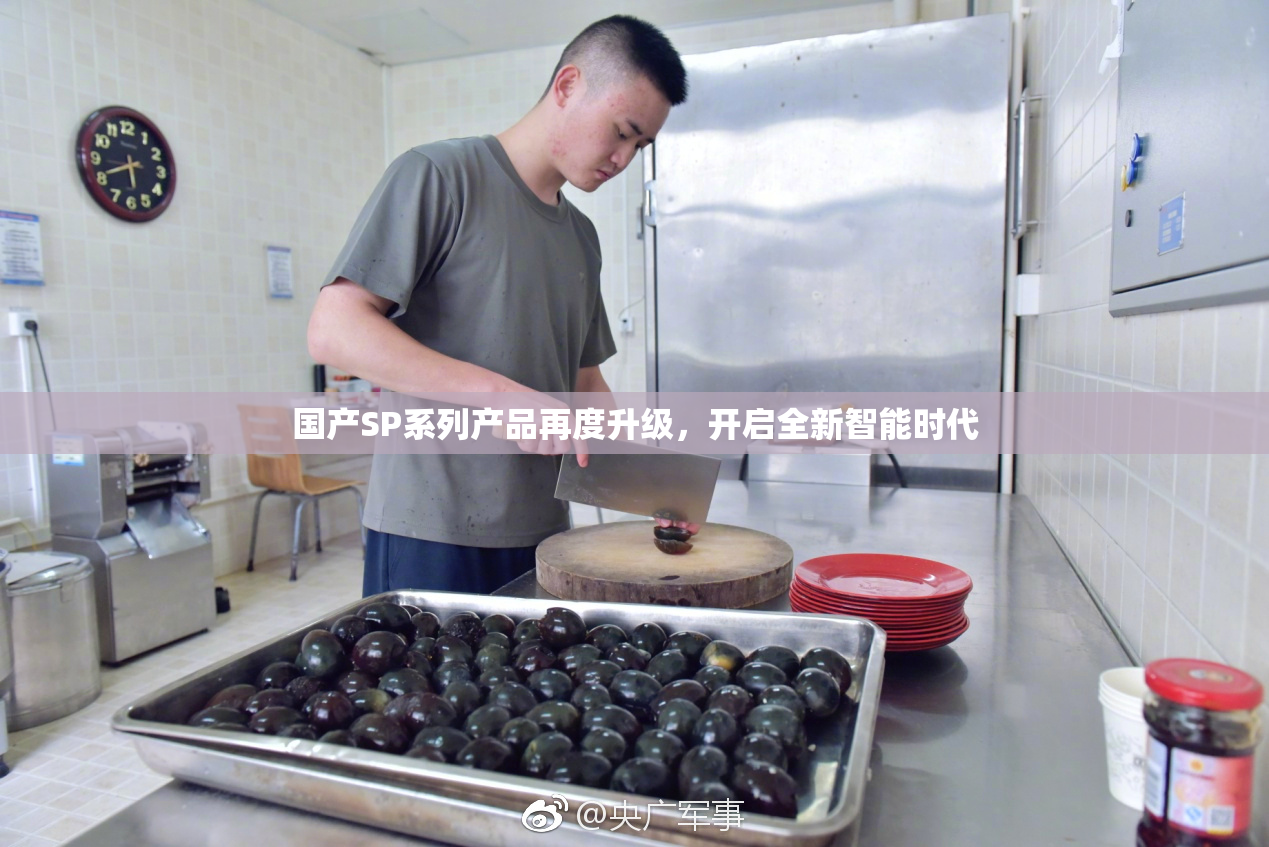 国产SP系列产品再度升级，开启全新智能时代