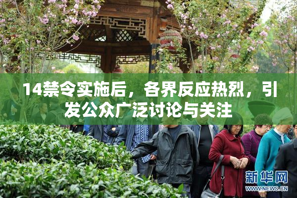 14禁令实施后，各界反应热烈，引发公众广泛讨论与关注