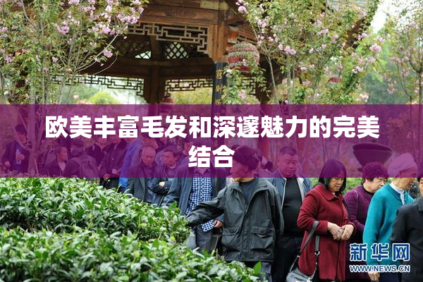 欧美丰富毛发和深邃魅力的完美结合