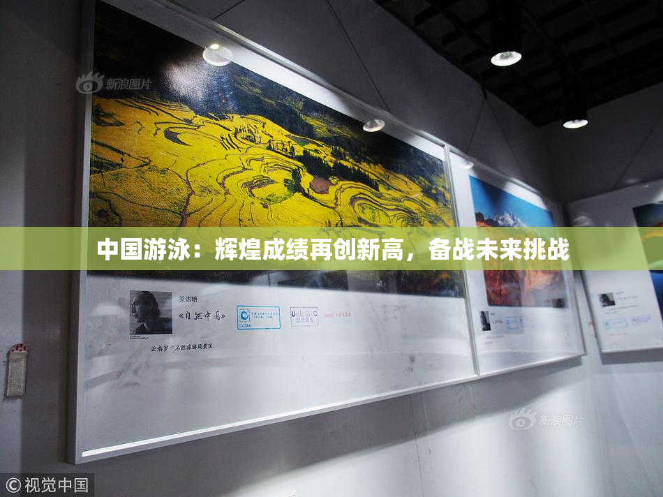中国游泳：辉煌成绩再创新高，备战未来挑战