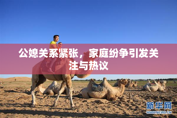 公媳关系紧张，家庭纷争引发关注与热议