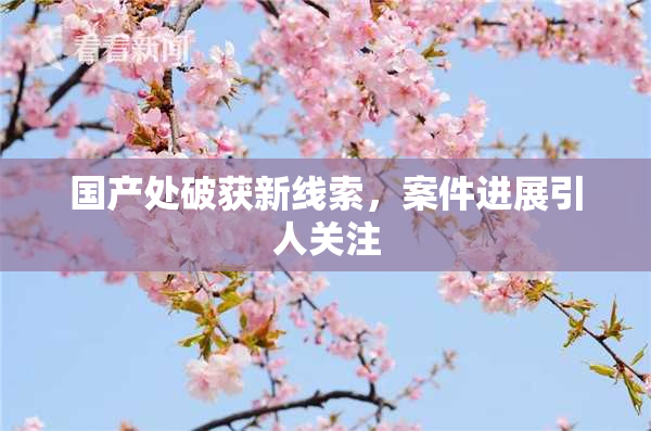 国产处破获新线索，案件进展引人关注