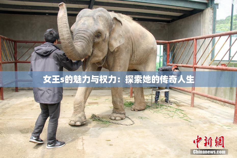 女王s的魅力与权力：探索她的传奇人生
