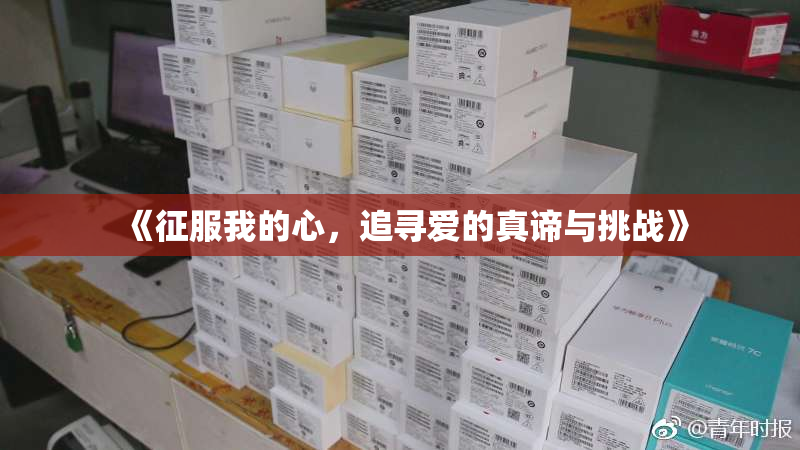 《征服我的心，追寻爱的真谛与挑战》