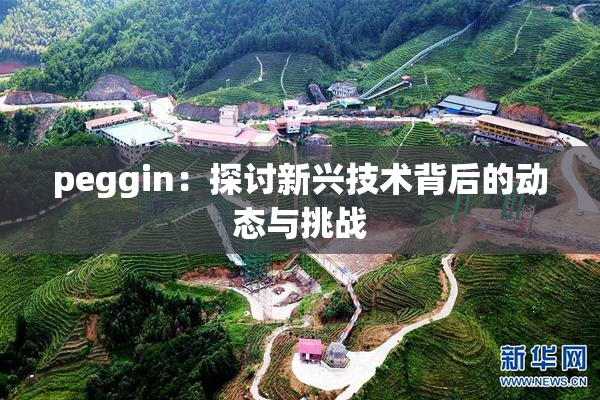 peggin：探讨新兴技术背后的动态与挑战