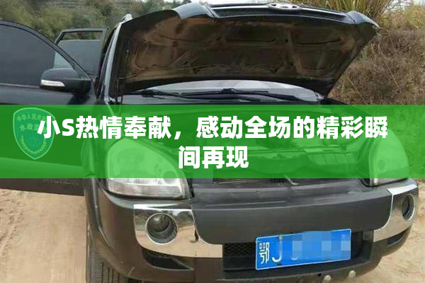 小S热情奉献，感动全场的精彩瞬间再现