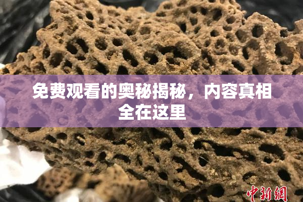 免费观看的奥秘揭秘，内容真相全在这里