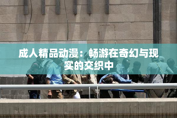成人精品动漫：畅游在奇幻与现实的交织中