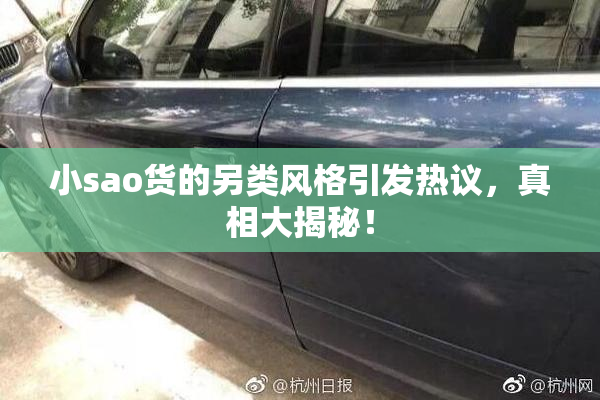 小sao货的另类风格引发热议，真相大揭秘！