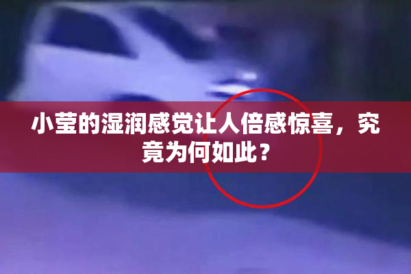 小莹的湿润感觉让人倍感惊喜，究竟为何如此？