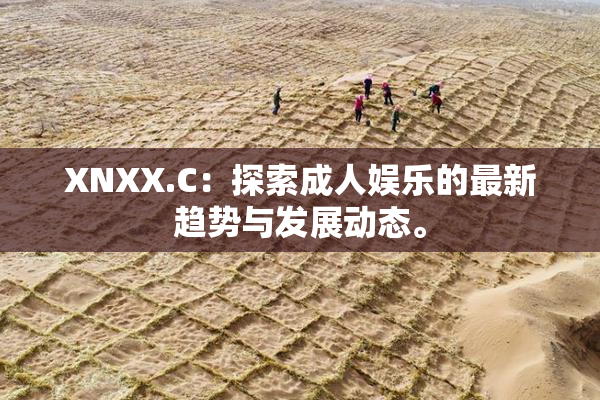 XNXX.C：探索成人娱乐的最新趋势与发展动态。