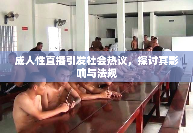 成人性直播引发社会热议，探讨其影响与法规
