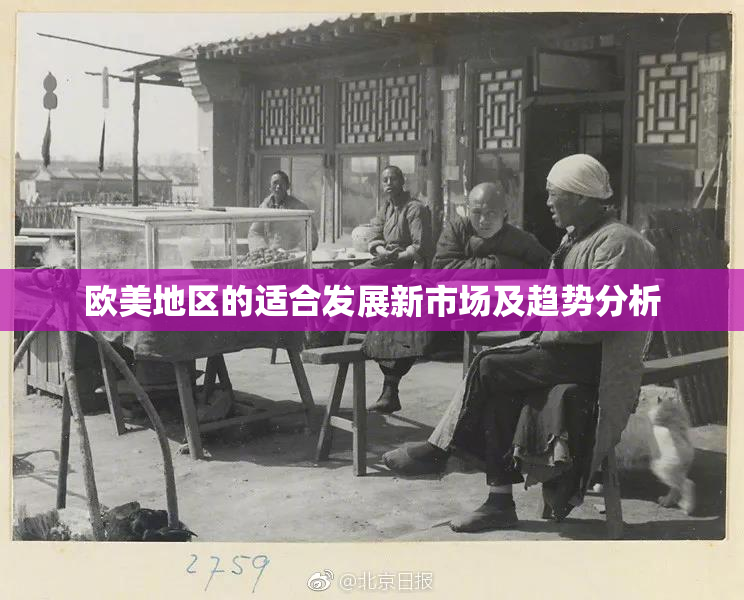 欧美地区的适合发展新市场及趋势分析