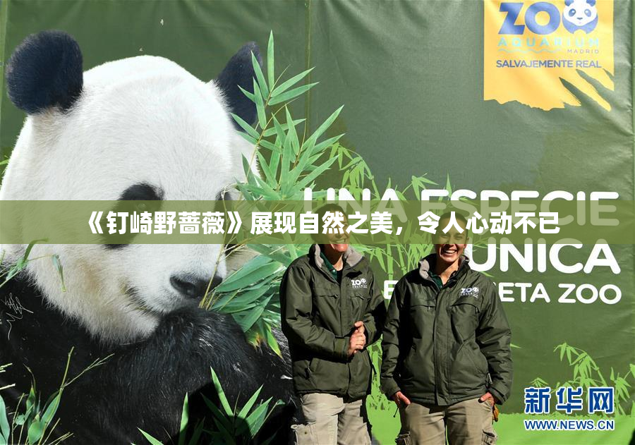 《钉崎野蔷薇》展现自然之美，令人心动不已