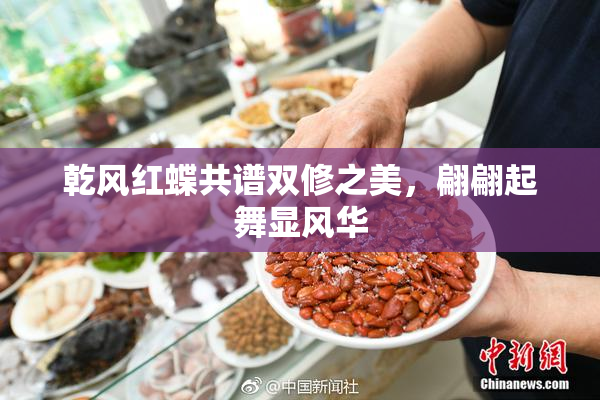 乾风红蝶共谱双修之美，翩翩起舞显风华