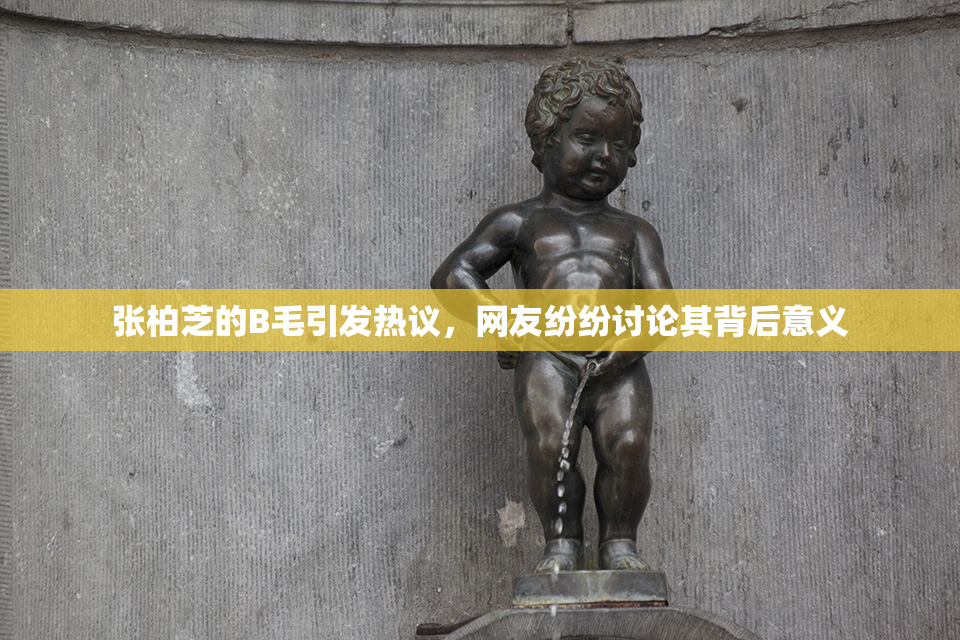 张柏芝的B毛引发热议，网友纷纷讨论其背后意义