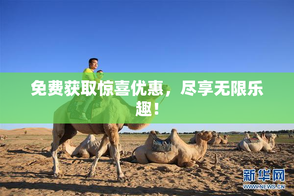 免费获取惊喜优惠，尽享无限乐趣！