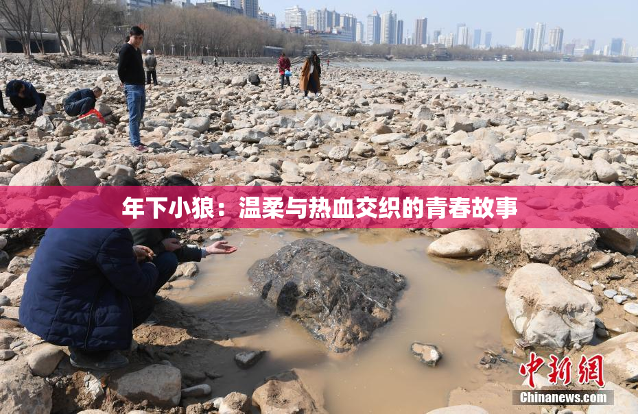 年下小狼：温柔与热血交织的青春故事