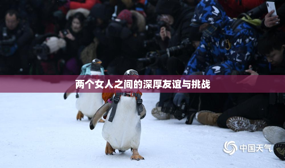 两个女人之间的深厚友谊与挑战